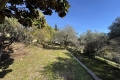 terrain VALLAURIS 4293188_1