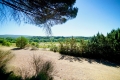 Maison LA TOUR-D'AIGUES 4 pi&egrave;ces 4293458_1