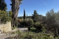 terrain VALLAURIS 4293188_3
