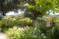 Maison PUGET-VILLE 4293784_3