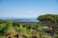 Maison RAMATUELLE 4294774_3