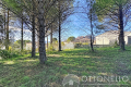 terrain ROQUEBRUNE-SUR-ARGENS 4295045_1