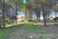 terrain ROQUEBRUNE-SUR-ARGENS 4295045_2