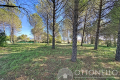 terrain ROQUEBRUNE-SUR-ARGENS 4295045_3