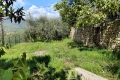 Maison SOSPEL 4296319_1