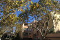 Commerce SANARY-SUR-MER 4298606_0