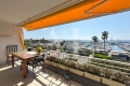 Appartement GOLFE JUAN 1 pi&egrave;ces 4303803_1