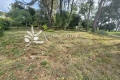 terrain BIOT 4303896_1