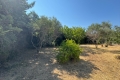 terrain MAUSSANE-LES-ALPILLES 1 pi&egrave;ces 4304216_1