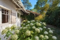 Maison PYLA-SUR-MER 0 pi&egrave;ces 4303884_2