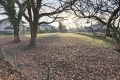 terrain SAVIGNY 4303996_2