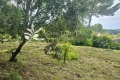 terrain BIOT 4303896_3