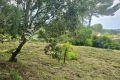 terrain BIOT 4303896_3