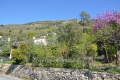 terrain LE BAR-SUR-LOUP 4307190_0