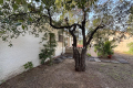 Maison LES ISSAMBRES 4306668_1