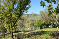terrain LE BAR-SUR-LOUP 4307190_3