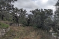 terrain CLAVIERS 4307543_1