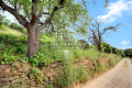 terrain BORMES-LES-MIMOSAS 4307996_1