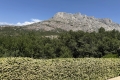 Maison ST-ANTONIN-SUR-BAYON 4308628_1
