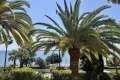 Appartement CANNES 4308671_3
