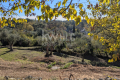 terrain ROQUEFORT-LES-PINS 4310087_1