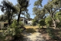 Maison PYLA-SUR-MER 4311906_2