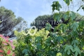 Maison ST-TROPEZ 8 pi&egrave;ces 4311532_3