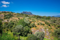 Maison ROQUEBRUNE-SUR-ARGENS 4312477_1