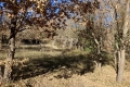 terrain QUINSON 4313784_1