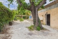 Maison CHATEAUNEUF-GRASSE 4313920_1