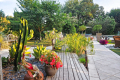 Maison ROQUEFORT-LES-PINS 4313448_2