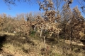terrain QUINSON 4313784_3