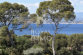Appartement SIX-FOURS-LES-PLAGES 4316105_1
