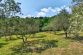 Maison LA BASTIDE-DES-JOURDANS 4316804_1