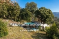 Maison SIGNES 4 pi&egrave;ces 4315938_2