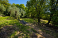 Maison TOURRETTES-SUR-LOUP 4316224_2