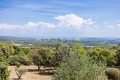 Maison LA BASTIDE-DES-JOURDANS 4315757_3