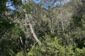 terrain TOURVES 4316892_0