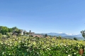 Maison CLERMONT 4316966_0