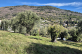 terrain VENCE 4317832_0