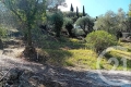 terrain ROQUEBRUNE-CAP-MARTIN 4317891_0
