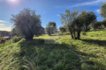 terrain VENCE 4317832_2