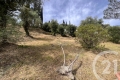 terrain ROQUEBRUNE-CAP-MARTIN 4317891_2