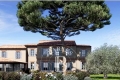 Maison ST-TROPEZ 4320270_3