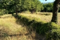 terrain SOSPEL 4323618_0