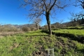 terrain SOSPEL 4323618_2