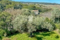 Maison UZES 8 pi&egrave;ces 4325744_0