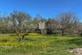 Maison UZES 4325744_2