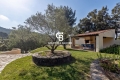 Maison BORMES-LES-MIMOSAS 4326994_1