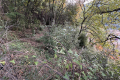 terrain GORBIO 4327840_1